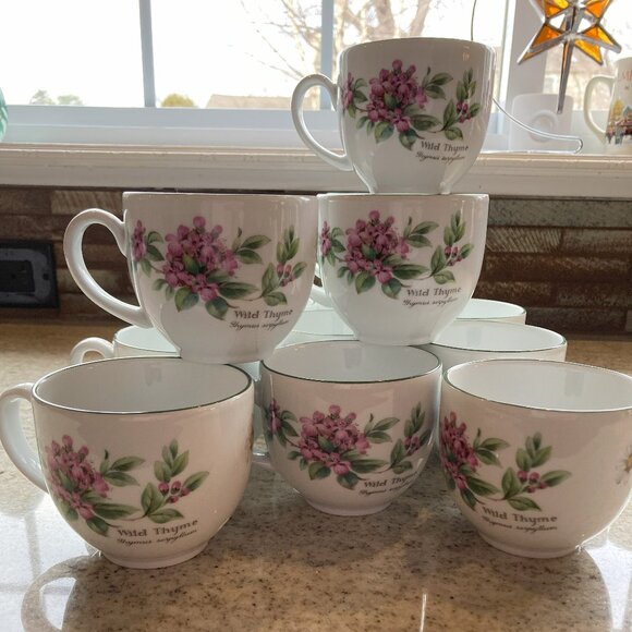 Royal Worcester - Herbs set of 13 cups - Picture 1 of 16